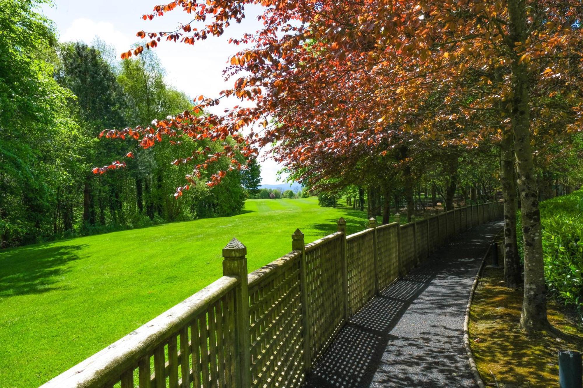 Mount Wolseley Hotel Spa & Golf Resort Tullow Exteriör bild