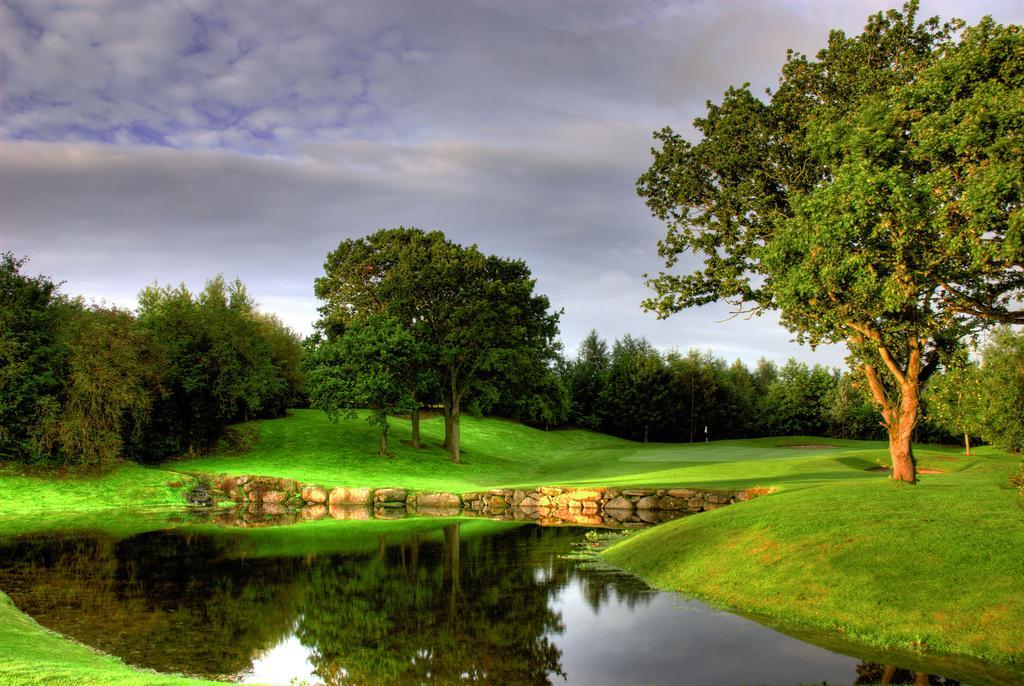 Mount Wolseley Hotel Spa & Golf Resort Tullow Exteriör bild